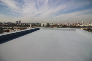 Deland flat roofers